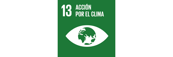13 Acción por el clima