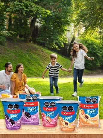 BEBIDA TIPO YOGURT Banner MB