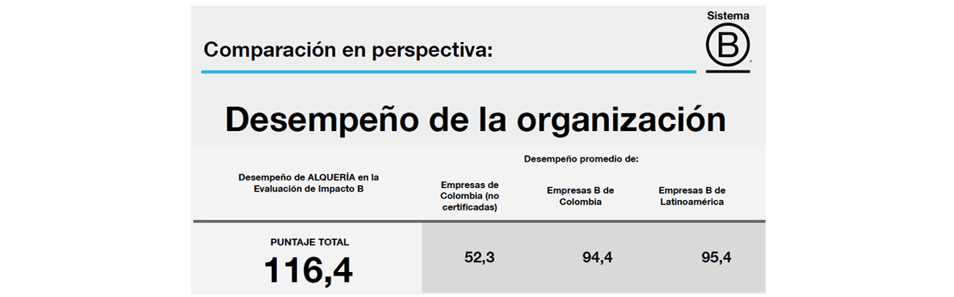 Desempeño de la organización