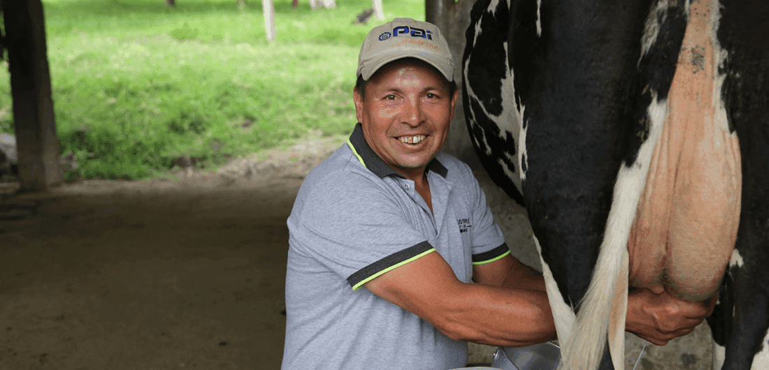 Proceso de leche