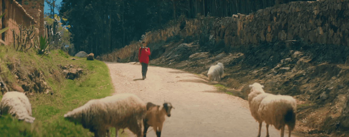 Video Fundación Cavelier