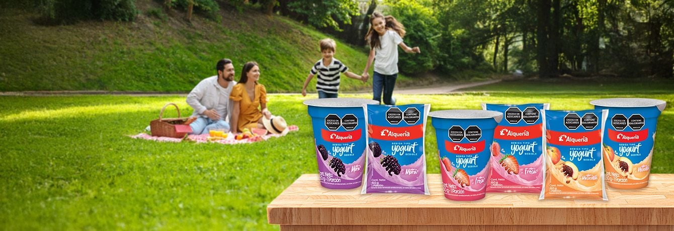 BEBIDA TIPO YOGURT Banner