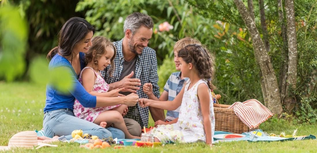 Imagen de una familia en un picnic