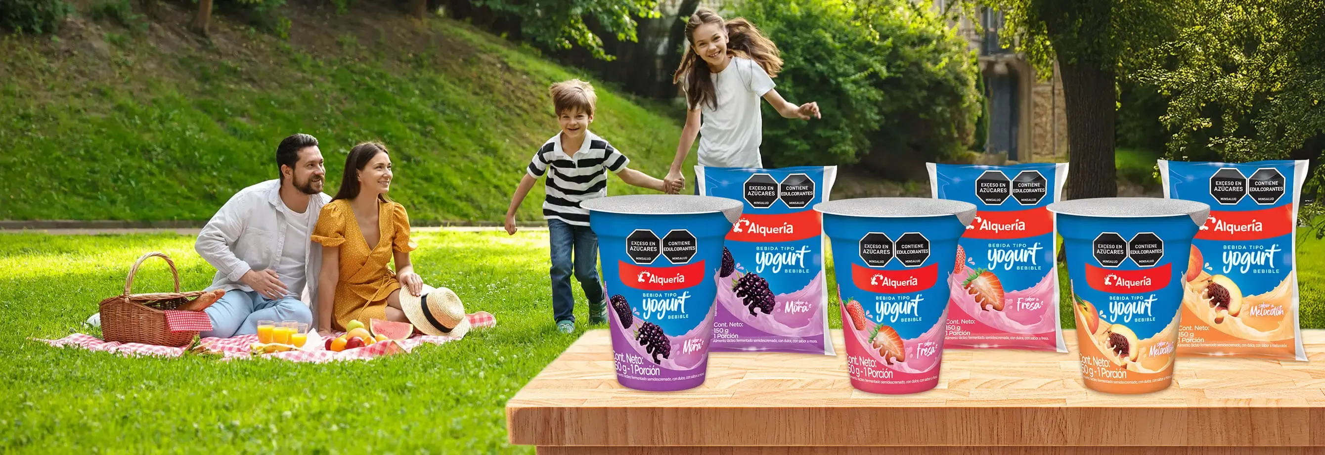 Bebida Tipo Yogurt Banner