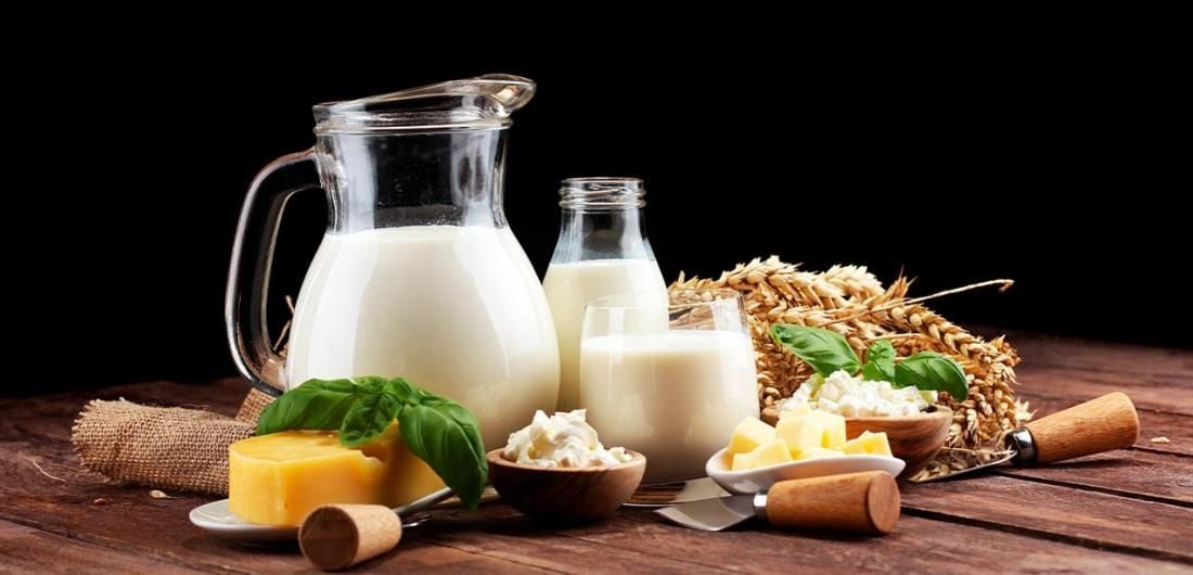 Conoce el proceso de digestión de la leche
