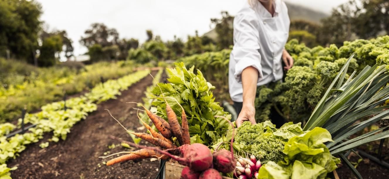 Producción sostenible