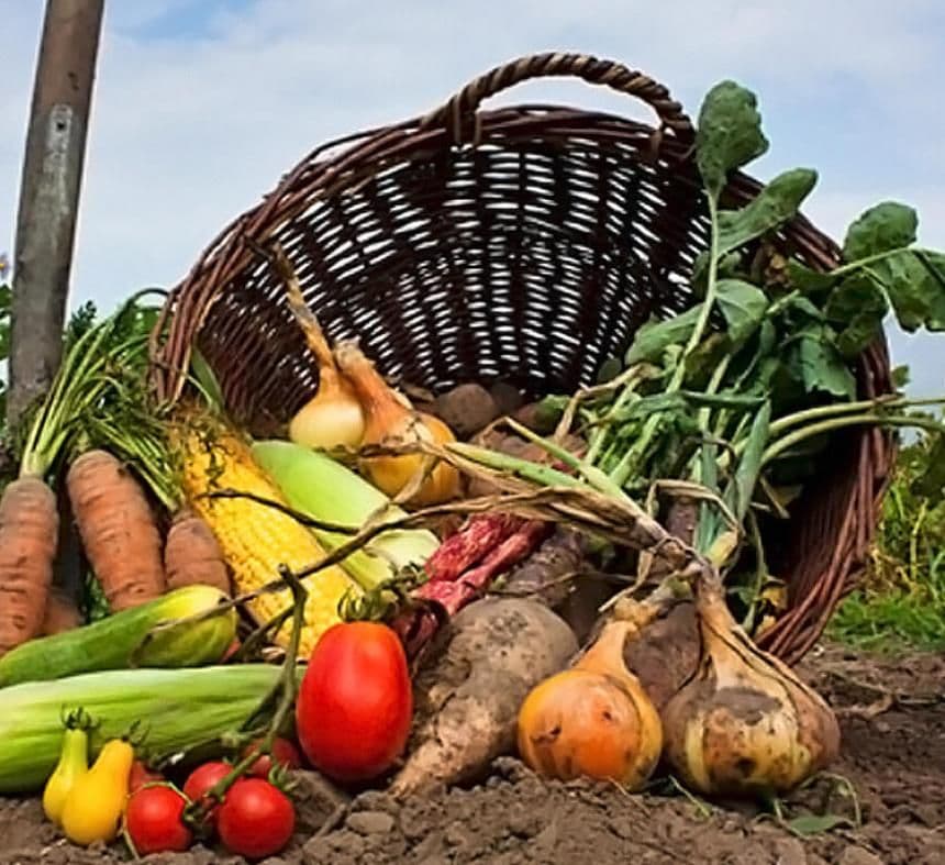 Beneficios de los alimentos orgánicos