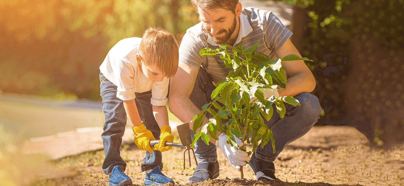 Cuidado del medio ambiente