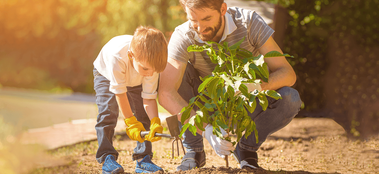 Cuidado del medio ambiente