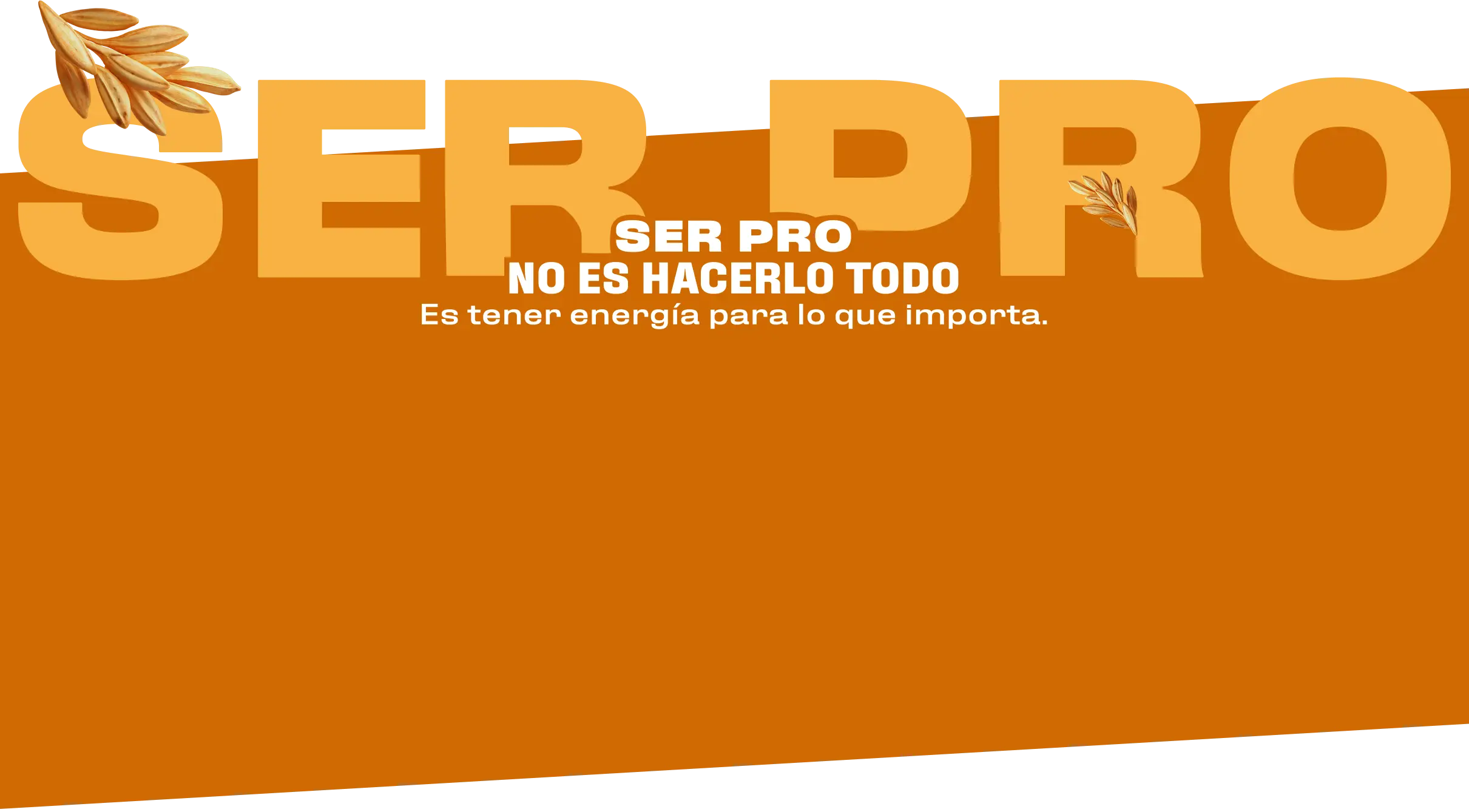 Fondo Ser Pro con Título