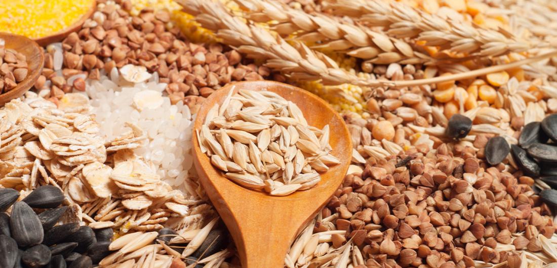 Tipos de cereales: guía práctica que necesitas considerar | Alquería