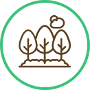icono sostenibilidad ambiental icono sostenibilidad ambiental