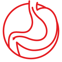 Icono rojo de fácil digestión bebida de almendras Alquería